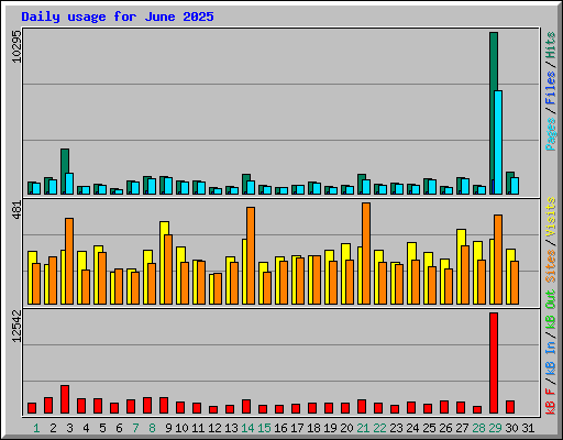 Daily usage for June 2025