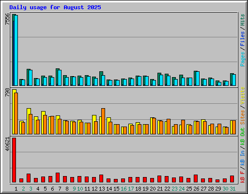 Daily usage for August 2025
