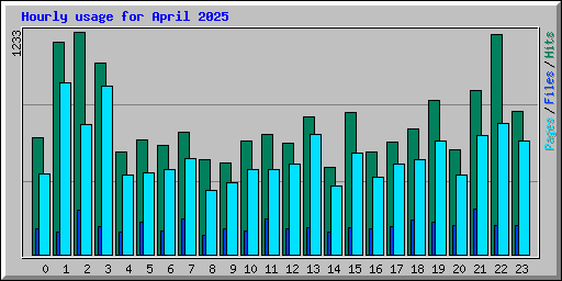 Hourly usage for April 2025
