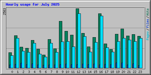 Hourly usage for July 2025